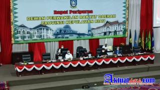 Sidang Paripurna DPRD Provinsi Kepri, Pandangan Fraksi Terhadap Raperda